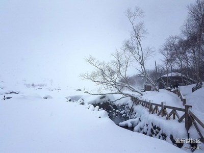 我愛你長(zhǎng)白山的雪