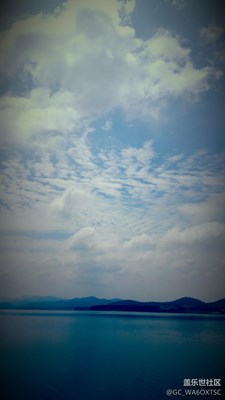 牛4的照片………