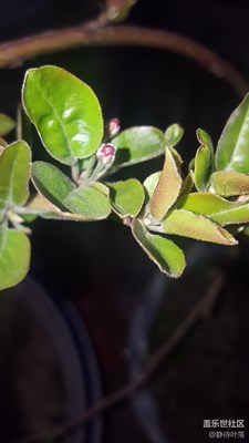 暗黑拍攝