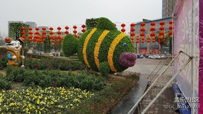 成都風(fēng)光-