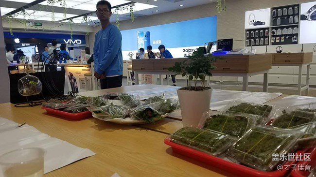 植樹節(jié)活動(dòng)回顧