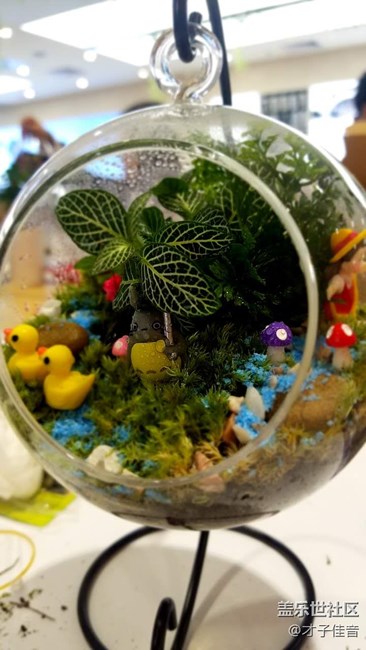 植樹節(jié)活動(dòng)回顧