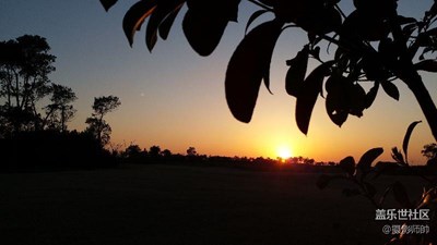夕陽無限好，