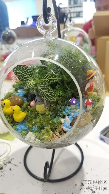 植樹節(jié)活動(dòng)回顧