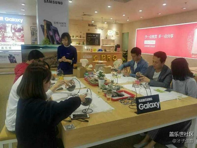 植樹節(jié)活動(dòng)回顧