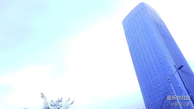 網(wǎng)友們，看看哪張照片更討喜？