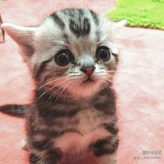 s7edge 電池用成這樣 怎么樣？？？？？