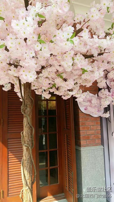 亞洲第一“星”