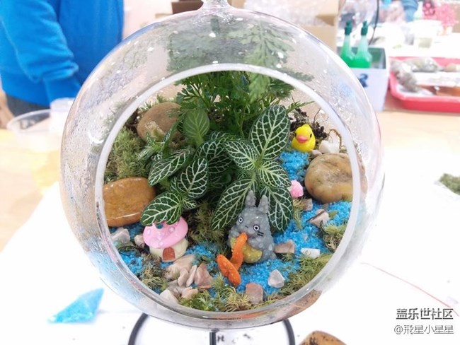 別出新裁的植樹節(jié)活動(dòng)回顧