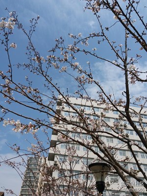 風(fēng)云＋徐州＋美云