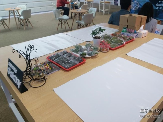 別出新裁的植樹節(jié)活動(dòng)回顧