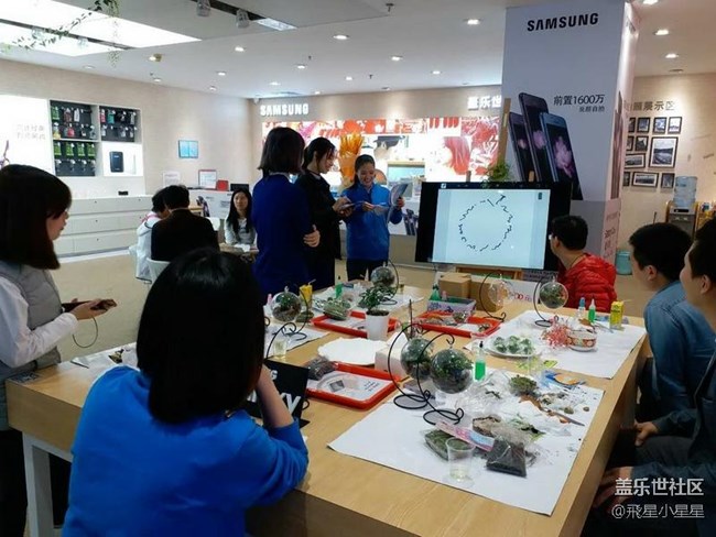 別出新裁的植樹節(jié)活動(dòng)回顧