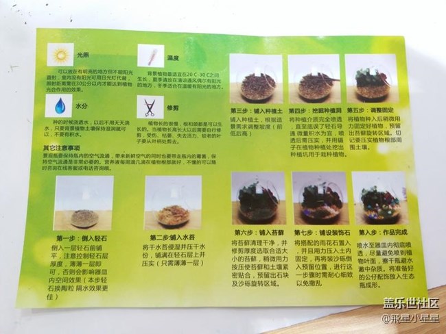 別出新裁的植樹節(jié)活動(dòng)回顧