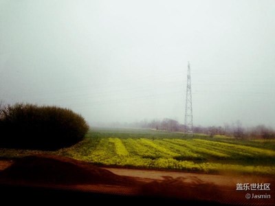 今天下雨下得霧氣騰騰，高速上拍的