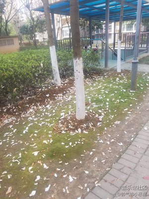 落花有意，人無情