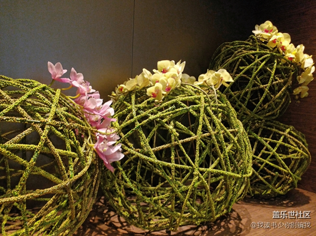 小女子實(shí)習(xí)不忘狂曬圖 三星C5 PRO成了好幫手 小女子實(shí)習(xí)不忘狂曬圖 三星C5 PRO成了好幫手