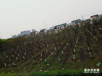 天陰沉沉的，還是好冷啊。。