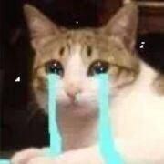 很無奈╮（╯＿╰）╭突然燒屏了