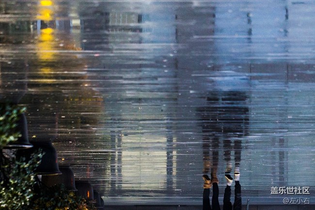 微距鏡頭下的S7E