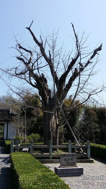 小鎮(zhèn)的慵懶下午