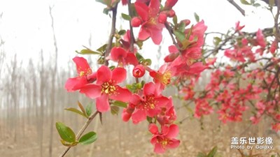情竇初開(kāi)