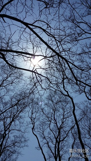 小鎮(zhèn)的慵懶下午