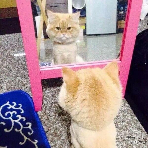 額。要不要這么忙