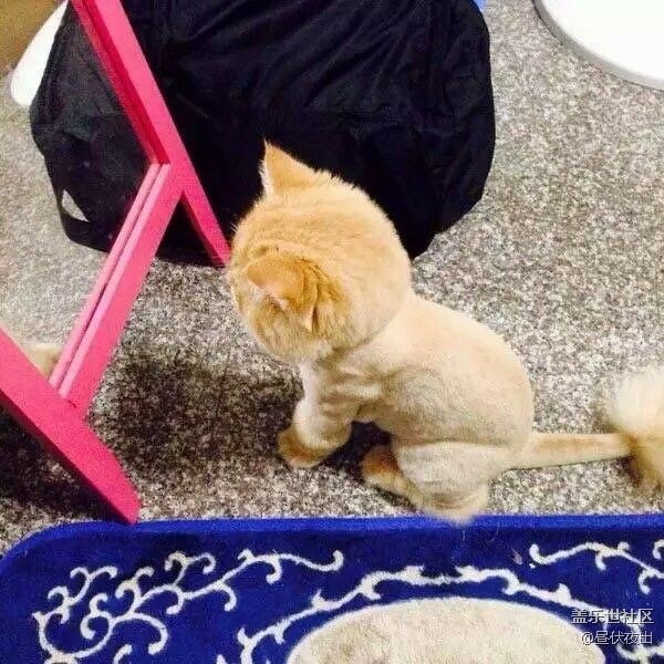 額。要不要這么忙