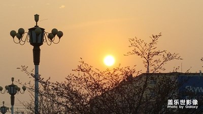 朝陽(yáng)
