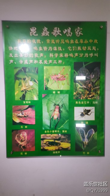 分享一下上海昆蟲博物館參觀心得