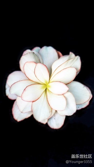 7.0并沒(méi)有覺(jué)得像網(wǎng)上流傳那樣！(壁紙分享)