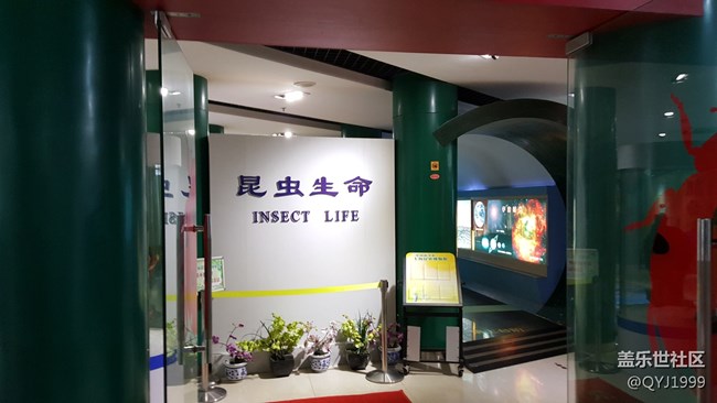 分享一下上海昆蟲博物館參觀心得