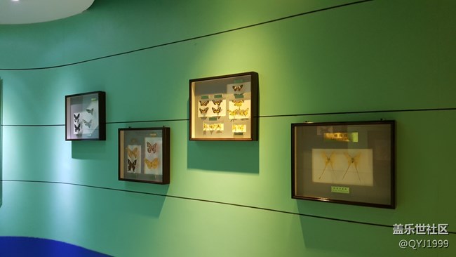 分享一下上海昆蟲博物館參觀心得