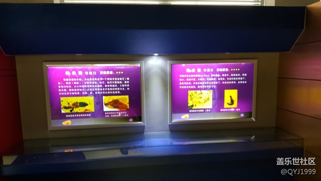 分享一下上海昆蟲博物館參觀心得