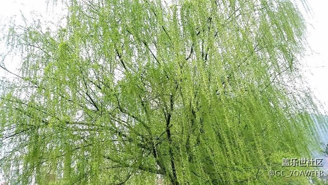 隨手拍