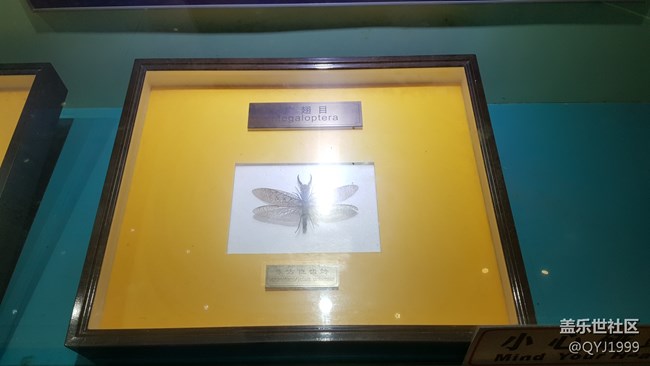 分享一下上海昆蟲博物館參觀心得