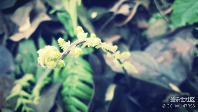 生活中有許多美，只是你沒發(fā)現(xiàn)而已！