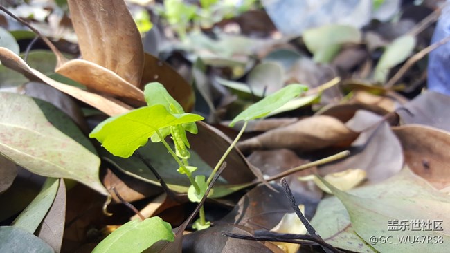 生活中有許多美，只是你沒發(fā)現(xiàn)而已！