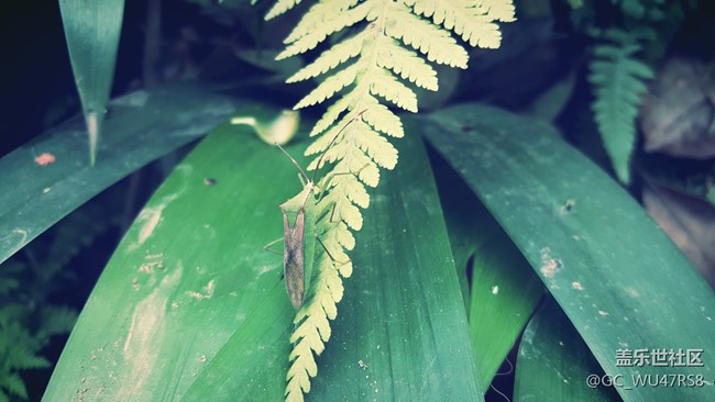 生活中有許多美，只是你沒發(fā)現(xiàn)而已！