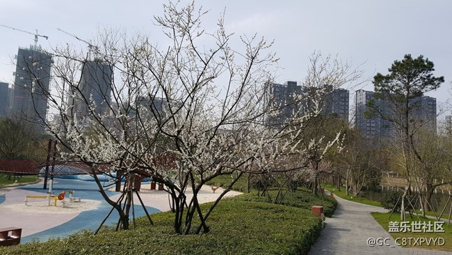 春天氣息
