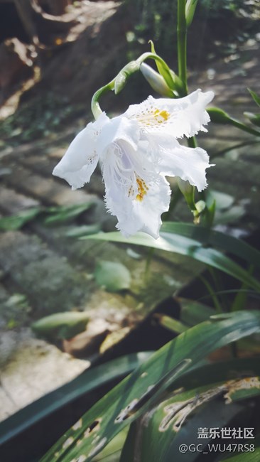 生活中有許多美，只是你沒發(fā)現(xiàn)而已！