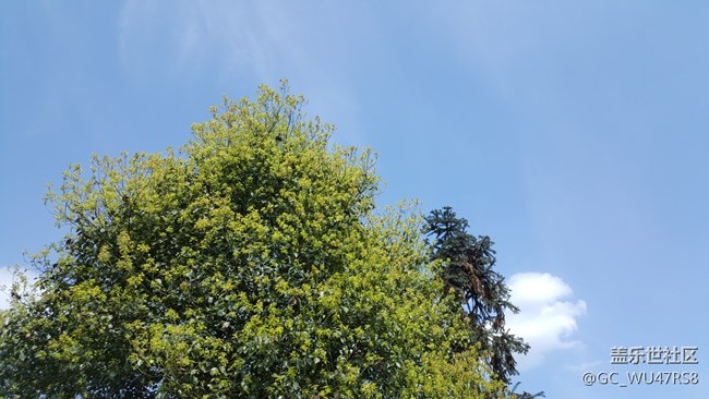 生活中有許多美，只是你沒發(fā)現(xiàn)而已！