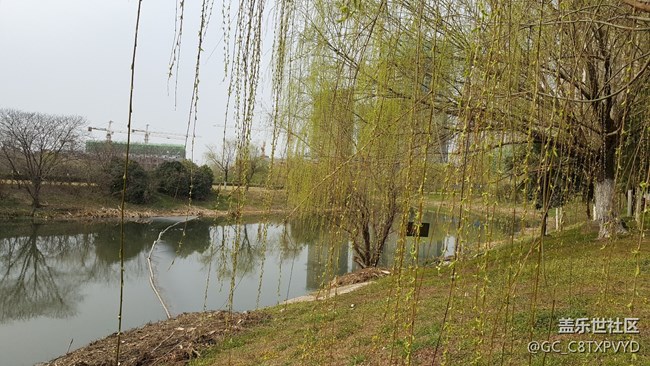 春天氣息