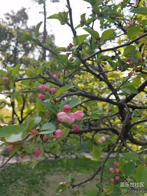 出太陽了公園走走