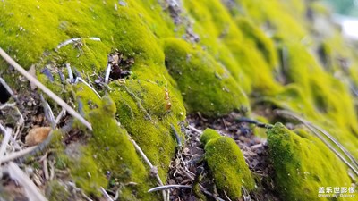 路+肇慶西江+螞蟻取經(jīng)