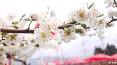 就是這么率性的拍