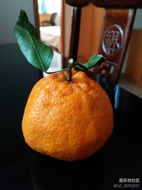 我就是過(guò)來(lái)看看…………