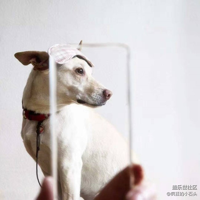 三星S8最新官方圖