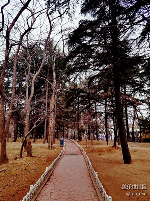 路+青島+寂靜的美