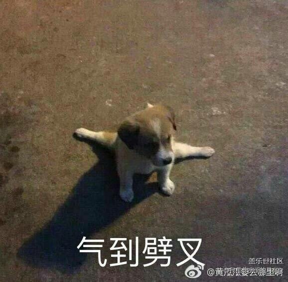 感覺這幾天的社區(qū)一直很卡？